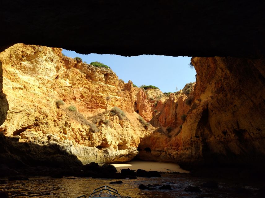 From Portimão: Benagil Caves and Beaches By Boat - Customer Feedback and Ratings