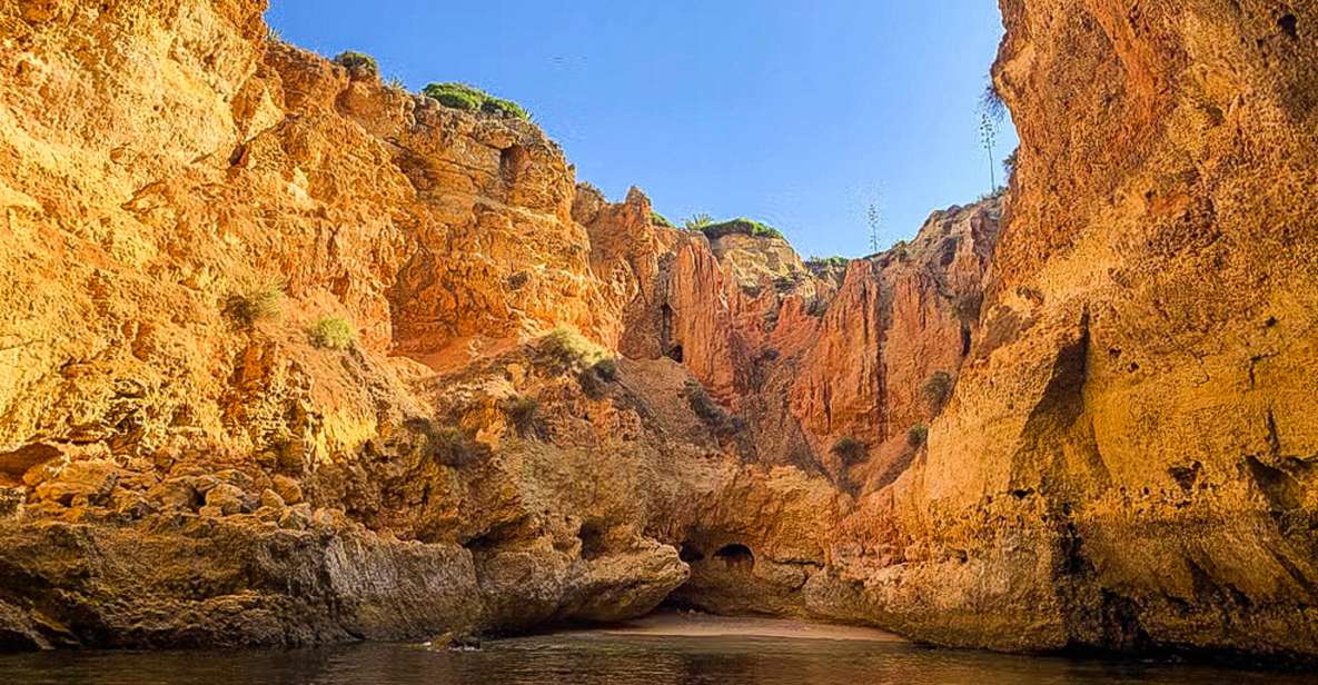 From Portimão to Paradise 60 Min Sunrise Tour - Experience and Activities