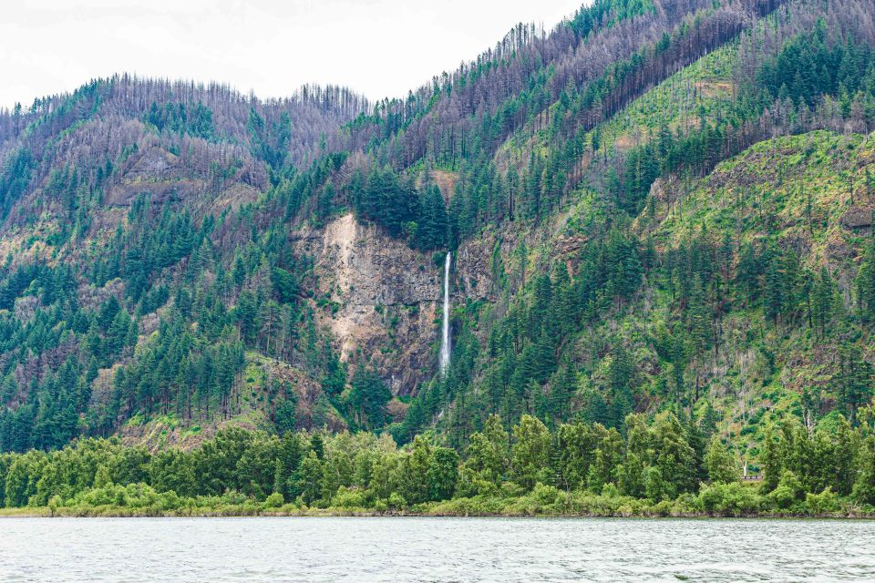 From Portland: 7 Wonders of the Gorge Jetboat Cruise - What to Expect Onboard