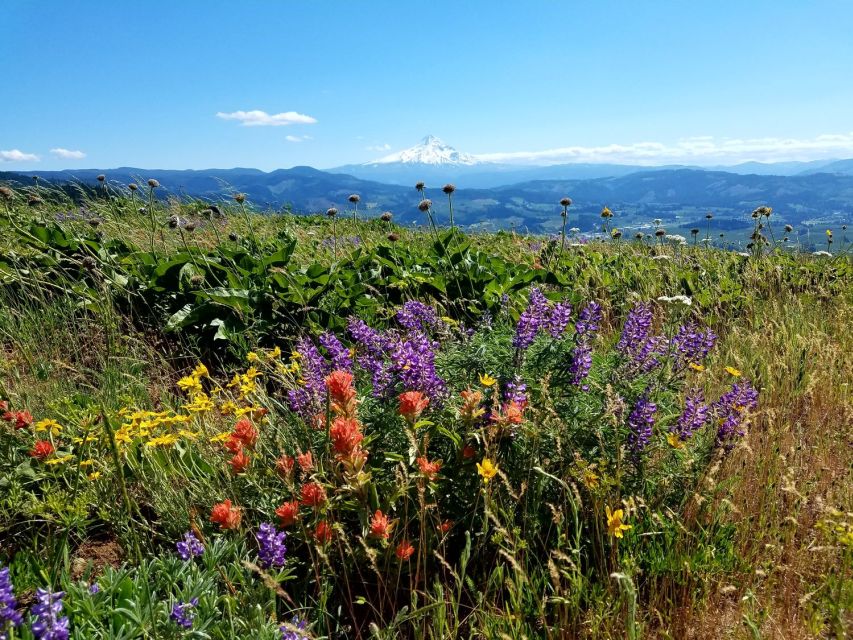 From Portland: Full Day Gorge Waterfalls & Mt. Hood Tour - Hike on Mount Hood