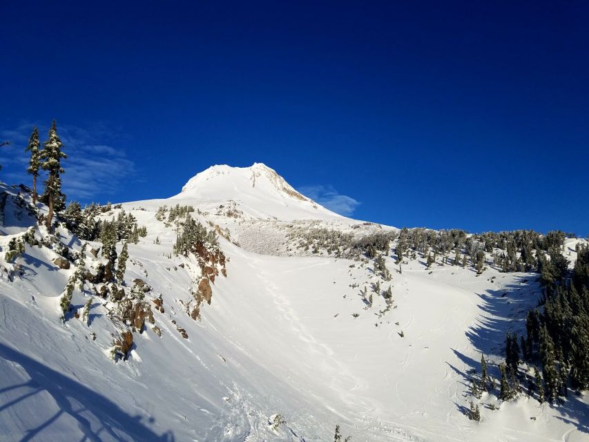 From Portland: Full Day Gorge Waterfalls & Mt. Hood Tour - Venture to Timberline Lodge