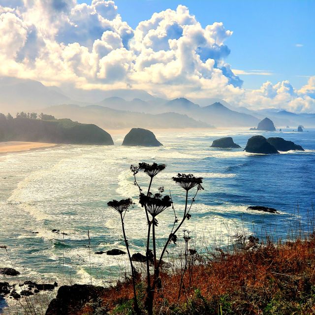 From Portland: Oregon Coast Adventure Day Tour With Pickup - Exploring the Temperate Rainforest