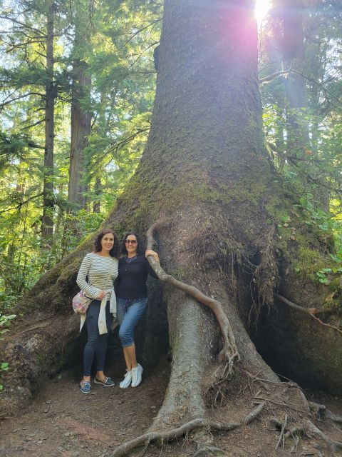 From Portland: Oregon Coast Adventure Day Tour With Pickup - Scenic Ocean Viewpoint Hikes