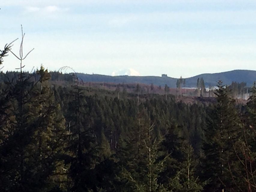 From Portland: Oregon Coast Day Trip Cannon Beach Area - Hiking in Primeval Forests