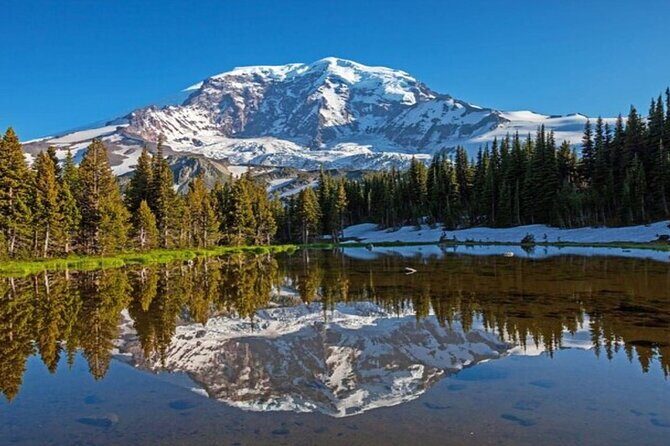 From Portland to Mt. Rainier Tour in a Small Group - Discover the Majesty of Mt. Rainier in an Intimate Small-Group Tour