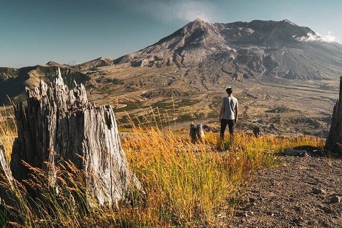 From Portland to Mt. Saint Helen Tour in a Small Group - Key Points