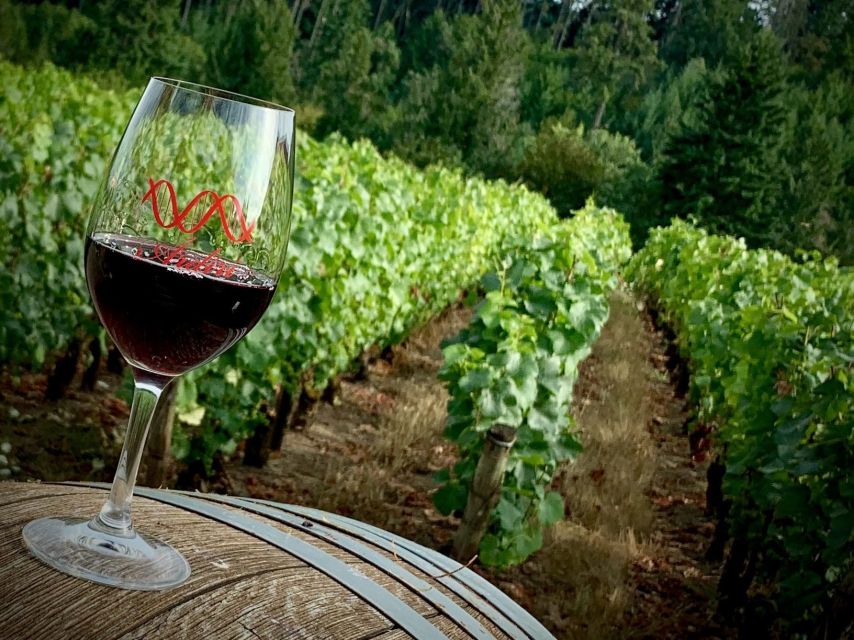 From Portland: Waterfalls, Mt Hood, and Wine Day Tour - Important Information