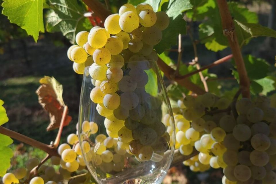 From Portland: Willamette Valley Full-Day Wine Tour - Booking Information