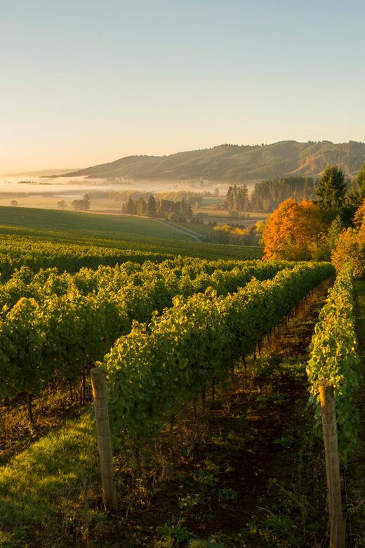 From Portland: Willamette Valley Wine Tasting Tour - The Sum Up