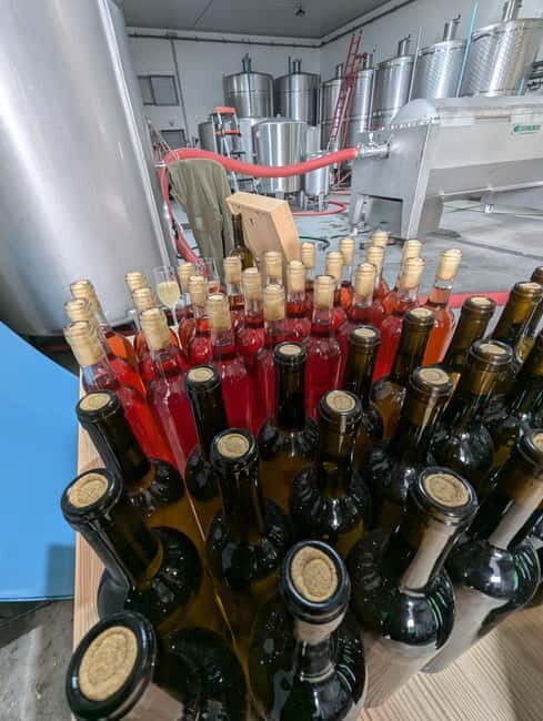 From Porto: 2 Wine Regions, Farm-to-Table Lunch & Boat - Who Should Consider This Tour?