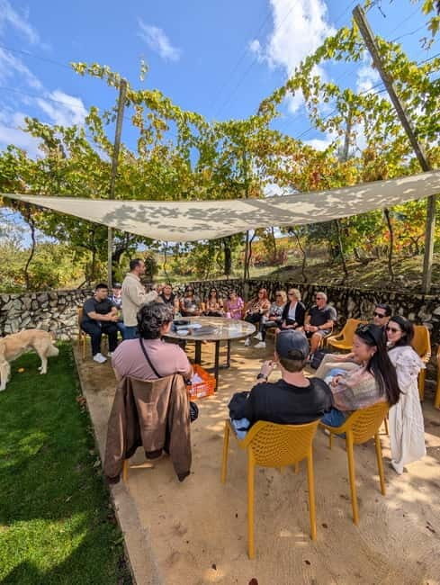 From Porto: 2 Wine Regions, Farm-to-Table Lunch & Boat - FAQ