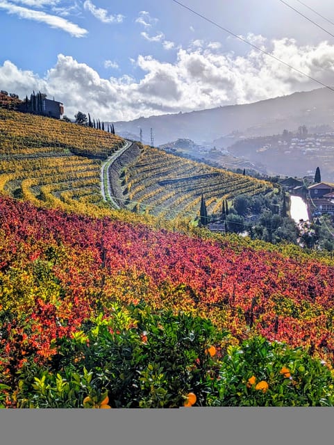From Porto: 2 Wine Regions, Farm-to-Table Lunch & Boat - Who Should Consider This Tour?
