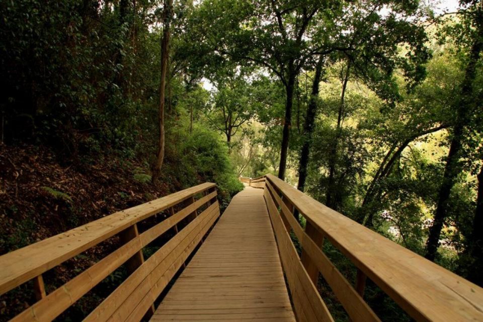 From Porto: 516 Arouca Bridge and Paiva Walkways Guided Tour - Tour Duration and Cancellation Policy