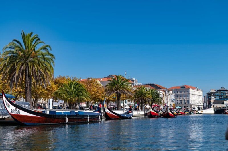 From Porto: Coimbra, Aveiro and Costa Nova Day Tour - The Experience: Pros and Cons