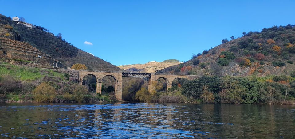 From Porto Day Douro Valley Wine Tour 2 Wineries & Lunch - Winery and Boat Cruise Visits
