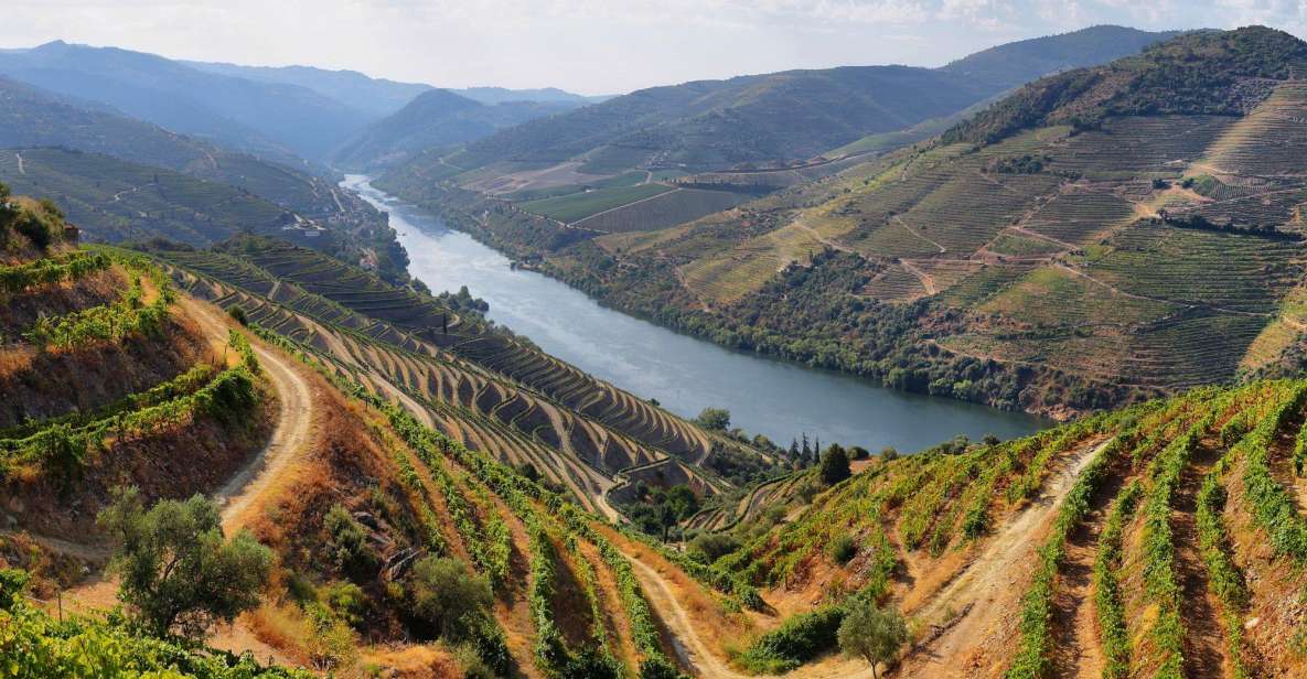 From Porto: Douro Tour - Pinhão/Régua 1 Day - Panoramic Views and Picturesque Viewpoints