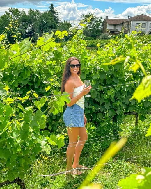 From Porto: Douro Valley Private Tour w/ 3 Wineries & Lunch - An In-Depth Look at the Douro Valley Private Tour
