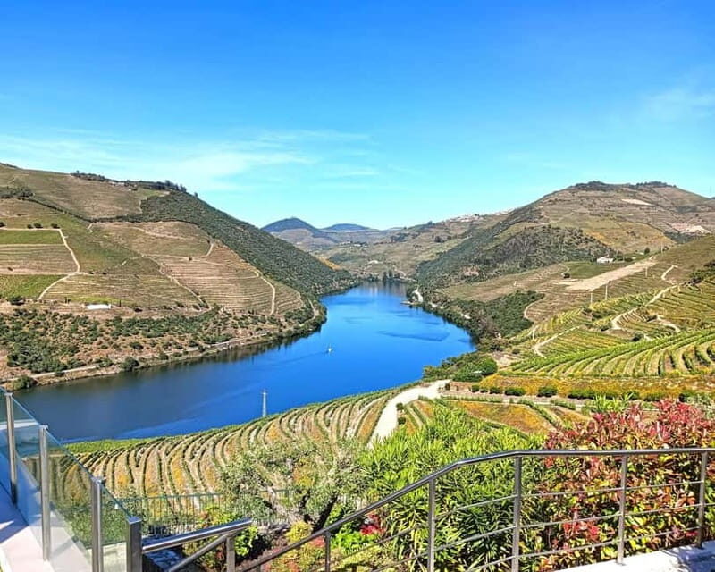 From Porto: Douro Valley Private Tour w/ 3 Wineries & Lunch - Final Thoughts