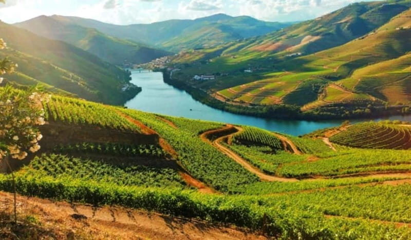 From Porto: Douro Valley Tour - What’s Included, and What’s Not