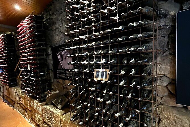 From Porto: Douro Valley Tour with 2 Wineries, Lunch and Cruise - Practical Tips for Travelers