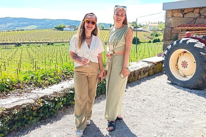 From Porto: Douro Valley Tour with 2 Wineries, Lunch and Cruise - Who Would Enjoy This Tour?
