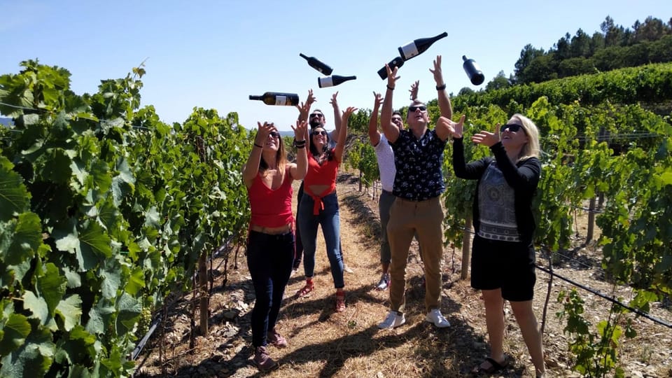 From Porto: Douro Valley Tour with Tastings, Boat & Lunch - The Experience at a Glance