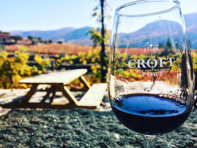 From Porto: Douro Valley w/ Boat Tour, Wine Tasting & Lunch - Practical Tips