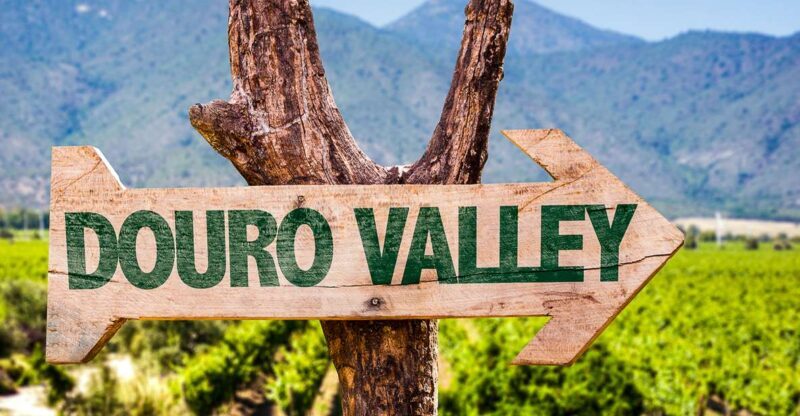 From Porto: Douro Valley w/ Boat Tour, Wine Tasting & Lunch - Who Will Enjoy This Trip?