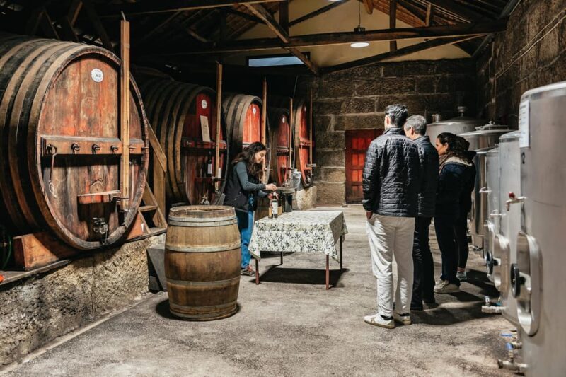 From Porto: Douro Valley Wine Tour with Lunch and Cruise - Exploring the Douro Valley from Porto: A Detailed Review of the Wine, Views, and River Cruise Experience