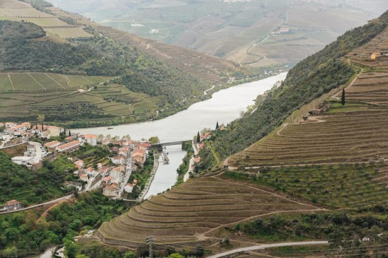 From Porto: Douro Valley Wine Tour with Lunch and Cruise - Key Points