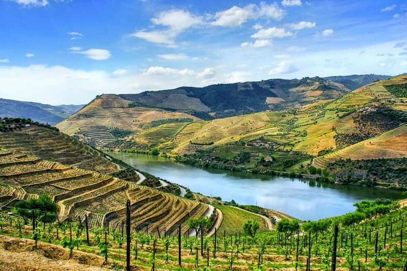 From Porto: Douro Valley with Wineries, Lunch and Boat Trip - Pricing and Value