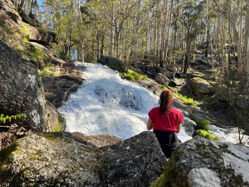 From Porto: Forest Waterfalls & Roman Ruins Trail Tour - An In-Depth Look at the Tour Experience