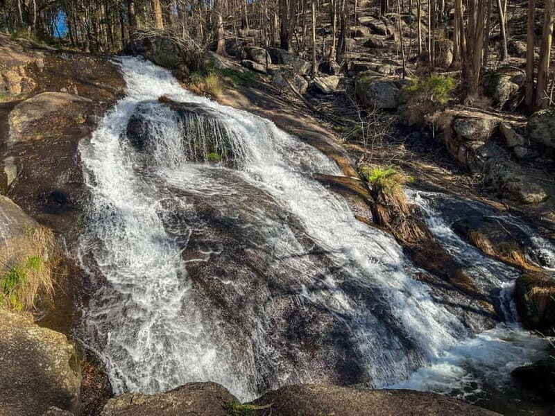From Porto: Forest Waterfalls & Roman Ruins Trail Tour - What to Expect and Practical Tips
