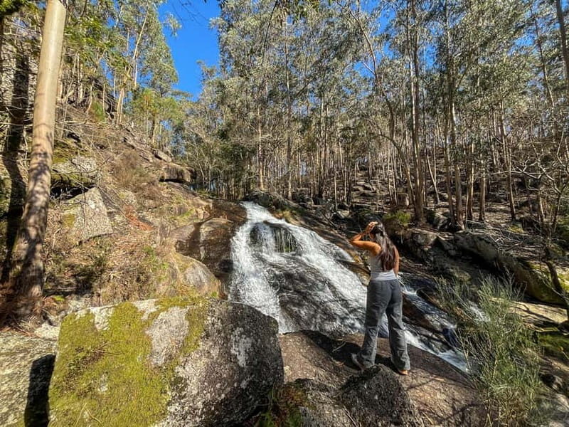 From Porto: Forest Waterfalls & Roman Ruins Trail Tour - Who Should Consider This Tour?