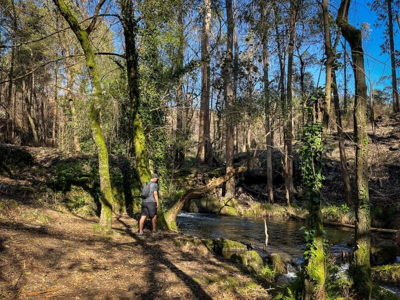 From Porto: Forest Waterfalls & Roman Ruins Trail Tour - The Sum Up