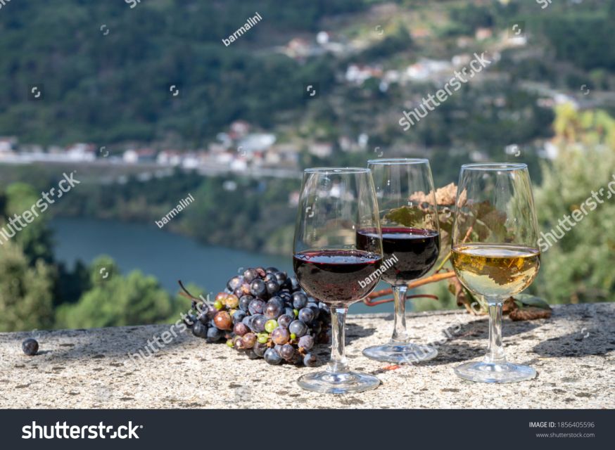 From Porto: Full-Day Douro Historical Tour - Exploring Amarante