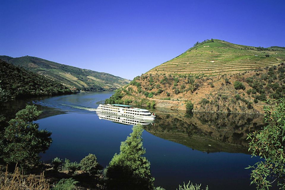 From Porto: Full-Day Douro Historical Tour - Viewpoint Photo Stop