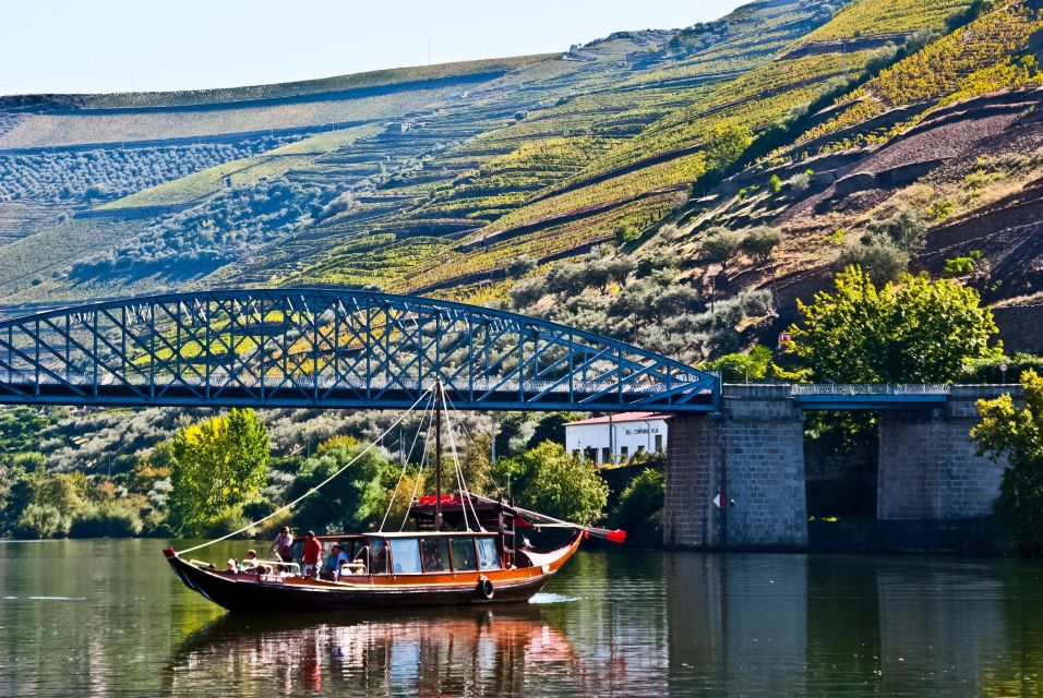 From Porto: Full-Day Douro Valley Trip and Port Wine Tasting - Transportation and Onboard Amenities