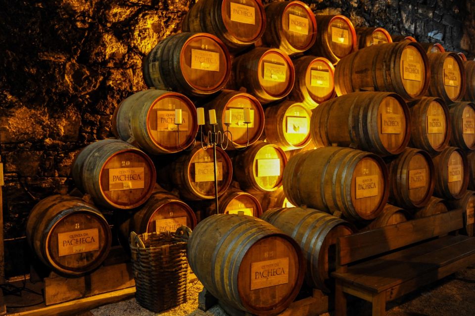 From Porto: Full-Day Douro Valley Trip and Port Wine Tasting - Essential Trip Details