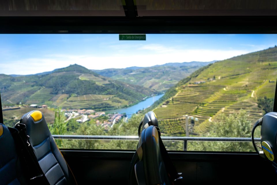 From Porto: Full-Day Douro Valley & Wine Tour With Lunch - Stunning Viewpoints