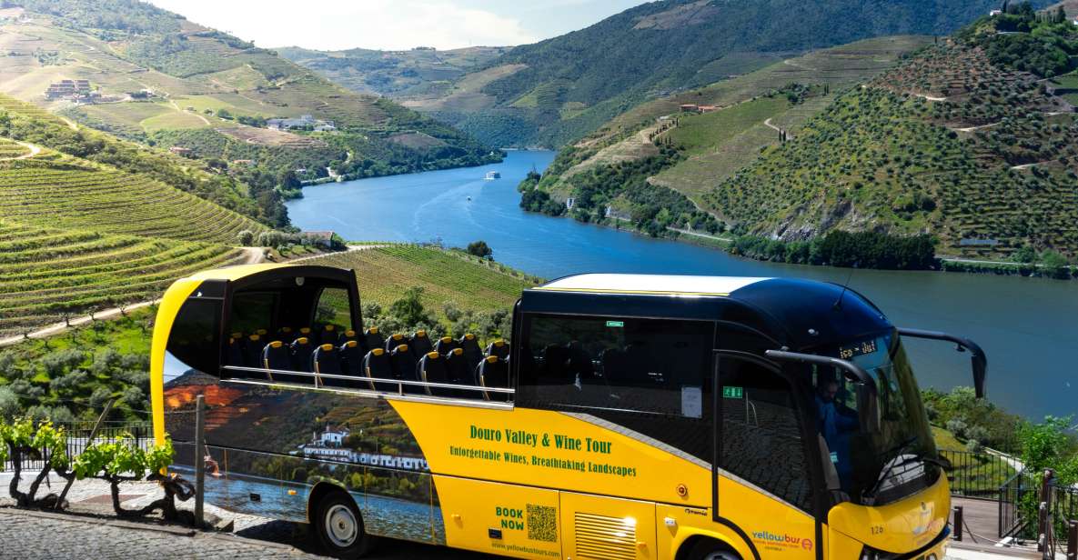From Porto: Full-Day Douro Valley & Wine Tour With Lunch - Wine Tasting Experience