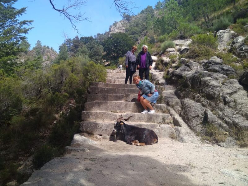 From Porto: Guided Hike to Gerês Park - Waterfalls and Lagoons Hike