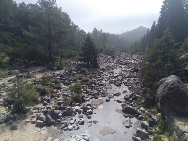 From Porto: Guided Hike to Gerês Park - Historical and Archaeological Sites