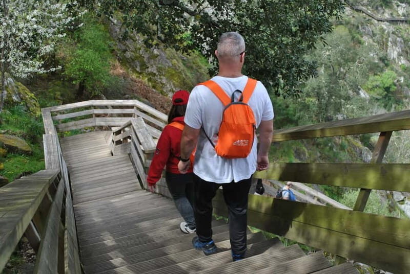 From Porto: Guided Tour of the 516 Arouca Suspension Bridge and Paiva Walkways - Authentic Experiences and Traveler Feedback