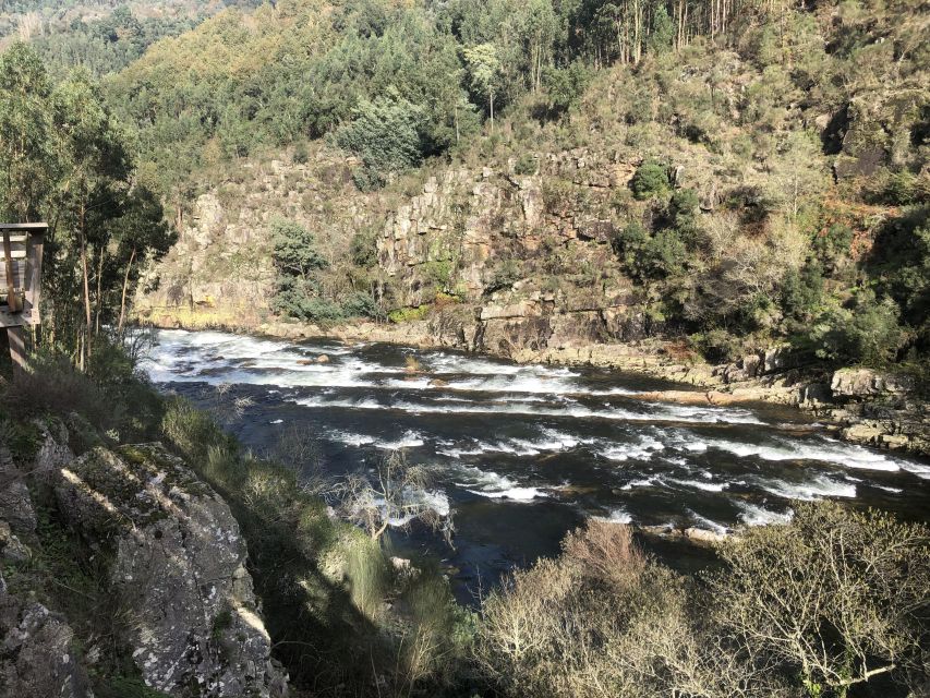 From Porto - Paiva Walkways and Suspension Bridge - Pickup and Drop-off