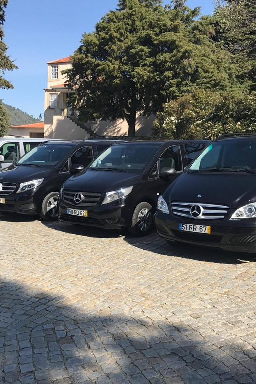 From Porto: Premium Douro Valley Small-Group Wine Tour - Pickup and Transportation