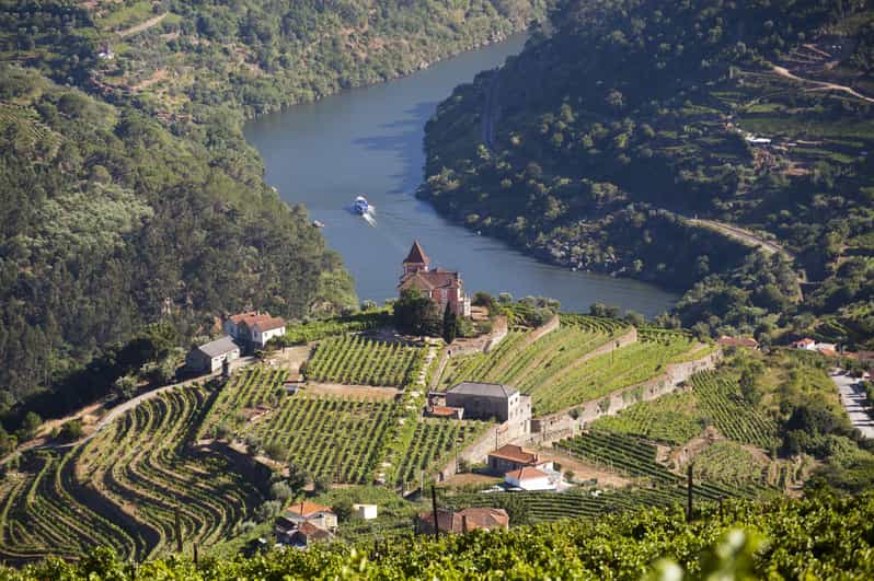 From Porto: Premium Douro Valley Small-Group Wine Tour - The Scenic Drive and Vineyards