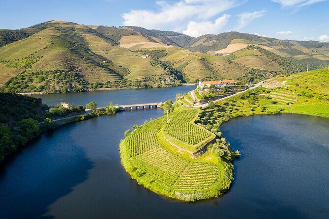 From Porto: Private Douro Valley Tour - An In-Depth Look at the Douro Valley Private Tour