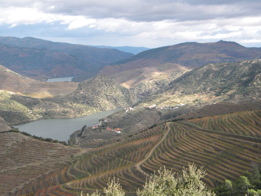 From Porto: Private Douro Valley Tour With Booking Service - Pick-up and Drop-off
