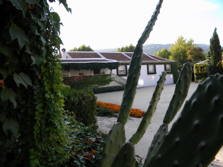 From Porto: Private Douro Valley Tour With Booking Service - Frequently Asked Questions